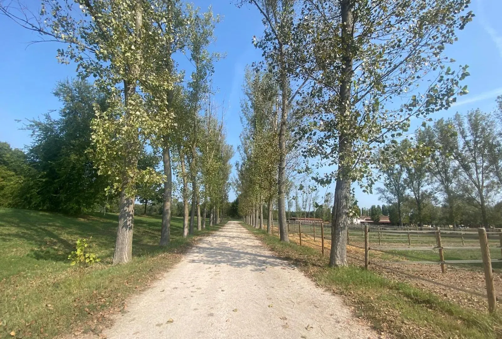 Agriturismo La Bisa Trecenta Farm stay
