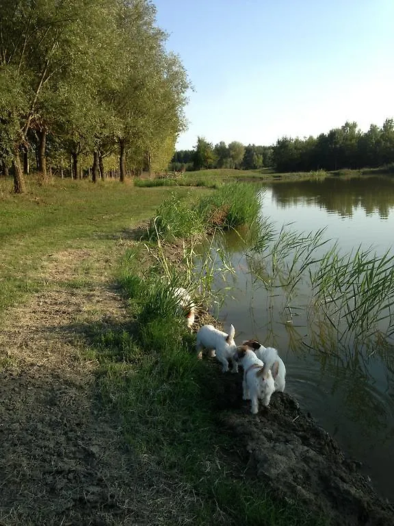 Agriturismo La Bisa Trecenta